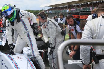 World © Octane Photographic Ltd. Williams Martini Racing FW37 – Felipe Massa. Sunday 5th July 2015, F1 British GP Race - Grid, Silverstone, UK. Digital Ref: 1340LB5D9860