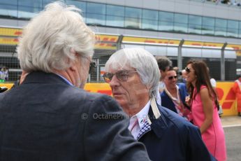 World © Octane Photographic Ltd. Bernie Ecclestone. Sunday 5th July 2015, F1 British GP F1 Race - Grid, Silverstone, UK. Digital Ref: 1340LB5D9866