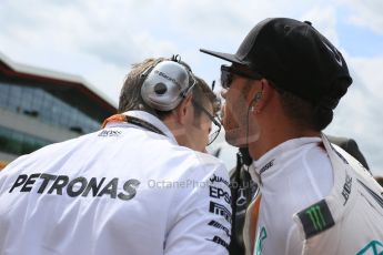 World © Octane Photographic Ltd. Mercedes AMG Petronas F1 W06 Hybrid – Lewis Hamilton. Sunday 5th July 2015, F1 British GP Race - Grid, Silverstone, UK. Digital Ref: 1340LB5D9921