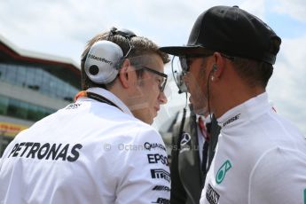 World © Octane Photographic Ltd. Mercedes AMG Petronas F1 W06 Hybrid – Lewis Hamilton. Sunday 5th July 2015, F1 British GP Race - Grid, Silverstone, UK. Digital Ref: 1340LB5D9927