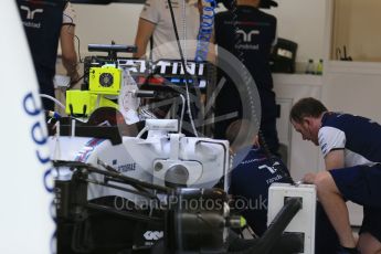 World © Octane Photographic Ltd. Williams Martini Racing FW37 – Felipe Massa. Friday 23rd October 2015, F1 USA Grand Prix Pit lane , Austin, Texas - Circuit of the Americas (COTA). Digital Ref: 1459LB1D8561