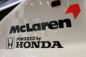 World © Octane Photographic Ltd. Donington Grand Prix Collection 25th January 2015. McLaren Honda. Digital Ref:  1179CB1D0888