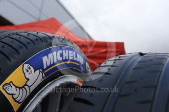 World © Octane Photographic Ltd. FIA Formula E testing – Donington Park 10th August 2015, Michelin tyres. Digital Ref : 1366LB7D4353