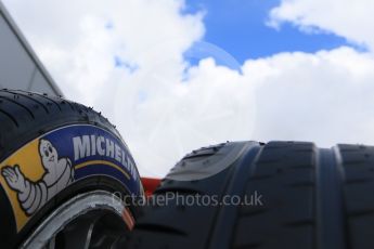 World © Octane Photographic Ltd. FIA Formula E testing – Donington Park 10th August 2015, Michelin tyres. Digital Ref : 1366LB7D4359