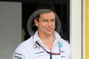 World © Octane Photographic Ltd. Mercedes AMG Petronas -Toto Wolff. Saturday 25th July 2015, F1 Hungarian GP Qualifying, Hungaroring, Hungary. Digital Ref: 1356CB1L6443