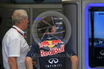 World © Octane Photographic Ltd. Infiniti Red Bull Racing - Dr.Helmut Marco and Christian Horner. Saturday 25th July 2015, F1 Hungarian GP Qualifying, Hungaroring, Hungary. Digital Ref: 1356CB1L6450