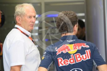 World © Octane Photographic Ltd. Infiniti Red Bull Racing - Dr.Helmut Marco and Christian Horner. Saturday 25th July 2015, F1 Hungarian GP Qualifying, Hungaroring, Hungary. Digital Ref: 1356CB1L6453