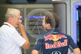 World © Octane Photographic Ltd. Infiniti Red Bull Racing - Dr.Helmut Marco and Christian Horner. Saturday 25th July 2015, F1 Hungarian GP Qualifying, Hungaroring, Hungary. Digital Ref: 1356CB1L6457