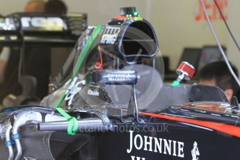 World © Octane Photographic Ltd. McLaren Honda MP4/30 Mirrors and body vanes. Saturday 25th July 2015, F1 Hungarian GP Qualifying, Hungaroring, Hungary. Digital Ref: 1356CB1L6475