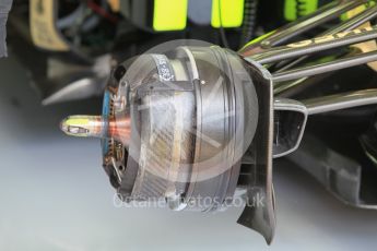 World © Octane Photographic Ltd. Lotus F1 Team E23 Hybrid – front brake.s Friday 24th July 2015, F1 Hungarian GP Practice 1, Hungaroring, Hungary. Digital Ref: 1346CB1L4996