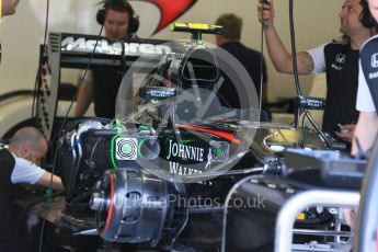 World © Octane Photographic Ltd. McLaren Honda MP4/30 - Jenson Button. Friday 24th July 2015, F1 Hungarian GP Practice 1, Hungaroring, Hungary. Digital Ref: 1346LB1D7619