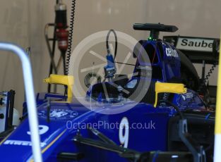 World © Octane Photographic Ltd. Sauber F1 Team C34-Ferrari – Marcus Ericsson. Friday 24th July 2015, F1 Hungarian GP Practice 1, Hungaroring, Hungary. Digital Ref: 1346LB1D7689