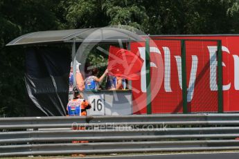 World © Octane Photographic Ltd. Red Flag. Friday 24th July 2015, F1 Hungarian GP Practice 1, Hungaroring, Hungary. Digital Ref: 1346LB1D8454