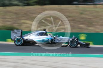 World © Octane Photographic Ltd. Mercedes AMG Petronas F1 W06 Hybrid – Lewis Hamilton. Friday 24th July 2015, F1 Hungarian GP Practice 2, Hungaroring, Hungary. Digital Ref: 1348CB1L5347