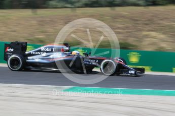 World © Octane Photographic Ltd. McLaren Honda MP4/30 – Fernando Alonso. Friday 24th July 2015, F1 Hungarian GP Practice 2, Hungaroring, Hungary. Digital Ref: 1348CB1L5363