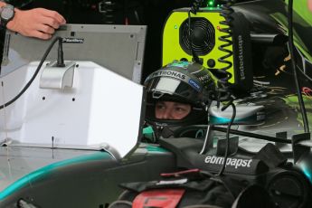 World © Octane Photographic Ltd. Mercedes AMG Petronas F1 W06 Hybrid – Nico Rosberg. Saturday 25th July 2015, F1 Hungarian GP Practice 3, Hungaroring, Hungary. Digital Ref: 1352LB1D0003