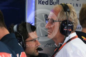 World © Octane Photographic Ltd. Infiniti Red Bull Racing – Dr.Helmut Marko. Saturday 25th July 2015, F1 Hungarian GP Practice 3, Hungaroring, Hungary. Digital Ref: 1352LB1D0026