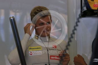 World © Octane Photographic Ltd. Sauber F1 Team C34-Ferrari – Marcus Ericsson. Saturday 25th July 2015, F1 Hungarian GP Practice 3, Hungaroring, Hungary. Digital Ref: 1352LB1D9792