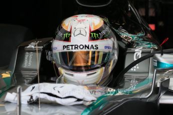 World © Octane Photographic Ltd. Mercedes AMG Petronas F1 W06 Hybrid – Lewis Hamilton. Saturday 25th July 2015, F1 Hungarian GP Practice 3, Hungaroring, Hungary. Digital Ref: 1352LB1D9859