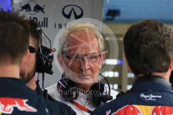 World © Octane Photographic Ltd. Infiniti Red Bull Racing - Dr.Helmut Marko. Saturday 25th July 2015, F1 Hungarian GP Practice 3, Hungaroring, Hungary. Digital Ref: 1352LB1D9878