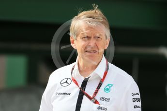 World © Octane Photographic Ltd. Mercedes AMG Petronas F1. Sunday 26th July 2015, F1 Hungarian GP - Drivers Parade, Hungaroring, Hungary. Digital Ref: 1359LB1D1840