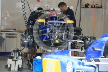 World © Octane Photographic Ltd. Sauber F1 Team C34-Ferrari – Felipe Nasr. Thursday 23rd July 2015, F1 Hungarian GP Pitlane, Hungaroring, Hungary. Digital Ref: 1343LB5D0157