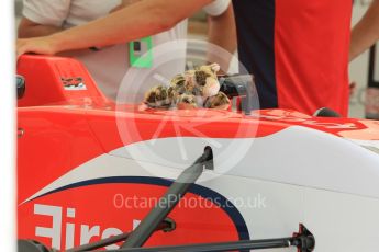 World © Octane Photographic Ltd. Friday 24th July 2015. Arden International – Kevin Ceccon. GP3 Practice Session – Hungaroring, Hungary. Digital Ref. : 1350CB1L5800