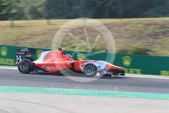 World © Octane Photographic Ltd. Friday 24th July 2015. Arden International – Kevin Ceccon. GP3 Practice Session – Hungaroring, Hungary. Digital Ref. : 1350CB1L6223