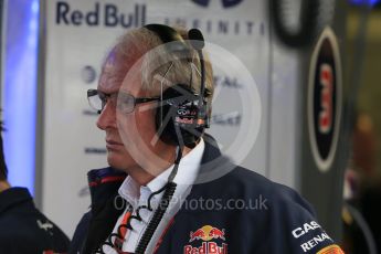World © Octane Photographic Ltd. Infiniti Red Bull Racing - Dr.Helmut Marko. Saturday 5th September 2015, F1 Italian GP Practice 3, Monza, Italy. Digital Ref: 1411LB1D0892