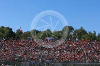 World © Octane Photographic Ltd. The crowd waiting for the race start. Sunday 6th September 2015, F1 Italian GP Race, Monza, Italy. Digital Ref: 1419LB1D2607