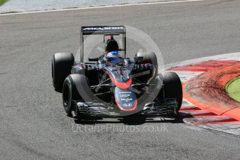 World © Octane Photographic Ltd. McLaren Honda MP4/30 – Fernando Alonso. Sunday 6th September 2015, F1 Italian GP Race, Monza, Italy. Digital Ref: 1419LB5D9294