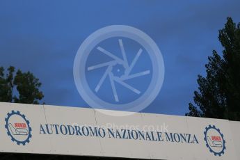World © Octane Photographic Ltd. Autodromo Nazionale Monza. Friday 4th September 2015, F1 Italian GP Pitlane, Monza, Italy. Digital Ref: 1404LB1D8572