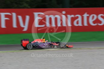 World © Octane Photographic Ltd. Infiniti Red Bull Racing RB11 – Daniel Ricciardo. Friday 4th September 2015, F1 Italian GP Practice 1, Monza, Italy. Digital Ref: 1405LB1D8777