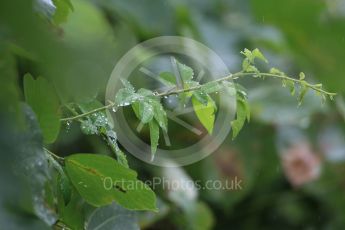 World © Octane Photographic Ltd. Rain. Friday 25th September 2015, F1 Japanese Grand Prix, Practice 1, Suzuka. Digital Ref: