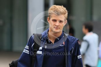 World © Octane Photographic Ltd. Sauber F1 Team C34-Ferrari – Marcus Ericsson. Sunday 27th September 2015, F1 Japanese Grand Prix, Setup, Suzuka. Digital Ref: 1448CB7D7556