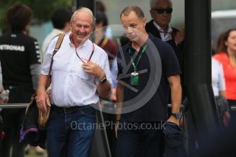 World © Octane Photographic Ltd. Infiniti Red Bull Racing - Dr.Helmut Marco. Sunday 27th September 2015, F1 Japanese Grand Prix, Setup, Suzuka. Digital Ref: 1448LB1D4061