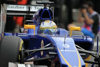 World © Octane Photographic Ltd. Sauber F1 Team C34-Ferrari – Marcus Ericsson. Saturday 23rd May 2015, F1 Practice 3, Monte Carlo, Monaco. Digital Ref: 1281CB1L0995