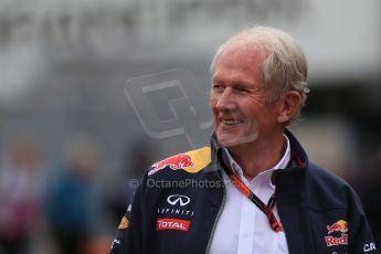 World © Octane Photographic Ltd. Helmut Marko - advisor to the Red Bull Racing Formula One Team, head of Red Bull's driver development program. Saturday 23rd May 2015, F1 Practice 3, Monte Carlo, Monaco. Digital Ref: World © Octane Photographic Ltd. Sahara Force India VJM08 – Nico Hulkenberg and Helmut Marko - advisor to the Red Bull Racing Formula One Team, head of Red Bull's driver development program. Saturday 23rd May 2015, F1 Practice 3, Monte Carlo, Monaco. Digital Ref: