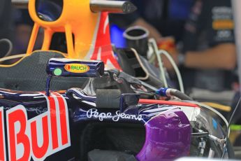 World © Octane Photographic Ltd. Infiniti Red Bull Racing RB11. Wednesday 20th May 2015, F1 Pitlane, Monte Carlo, Monaco. Digital Ref: 1270CB7D2444
