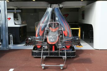 World © Octane Photographic Ltd. McLaren Honda MP4/30. Wednesday 20th May 2015, F1 Pitlane, Monte Carlo, Monaco. Digital Ref: 1270LB1D2956