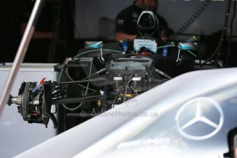 World © Octane Photographic Ltd. Mercedes AMG Petronas F1 W06 Hybrid. Wednesday 20th May 2015, F1 Pitlane, Monte Carlo, Monaco. Digital Ref: 1270LB5D2411