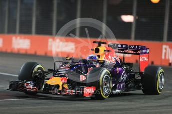 World © Octane Photographic Ltd. Infiniti Red Bull Racing RB11 – Daniel Ricciardo. Friday 18th September 2015, F1 Singapore Grand Prix Practice 2, Marina Bay. Digital Ref: 1429LB1D5997