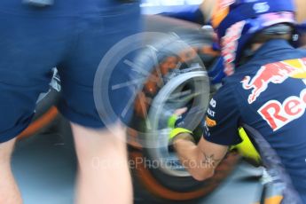 World © Octane Photographic Ltd. Infiniti Red Bull Racing pit stop practice. Saturday 19th September 2015, F1 Singapore Grand Prix Pit lane, Marina Bay. Digital Ref: 1432CB7D1341