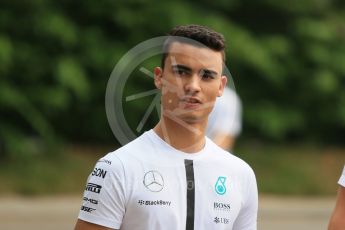 World © Octane Photographic Ltd. Mercedes AMG Petronas F1 W06 Hybrid Reserve Driver – Pascal Wehrlein. Friday 18th September 2015, F1 Singapore Grand Prix Paddock, Marina Bay. Digital Ref: 1427CB1D4545