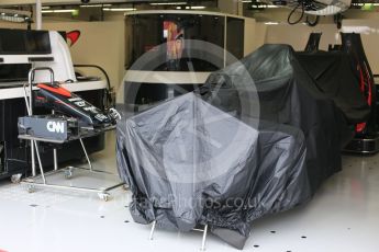 World © Octane Photographic Ltd. McLaren Honda MP4/30. Friday 18th September 2015, F1 Singapore Grand Prix Pit Lane, Marina Bay. Digital Ref: 1427CB5D9506