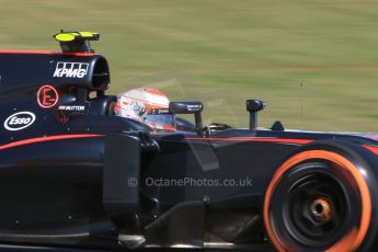 World © Octane Photographic Ltd. McLaren Honda MP4/30 - Jenson Button. Saturday 9th May 2015, F1 Spanish GP Practice 3, Circuit de Barcelona-Catalunya, Spain. Digital Ref: 1256CB7D7524