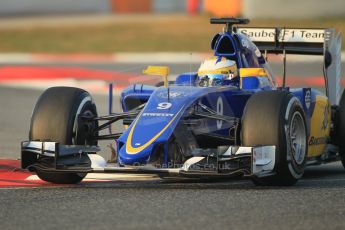World © Octane Photographic Ltd. Sauber F1 Team C34-Ferrari – Marcus Ericsson. Friday 20th February 2015, F1 Winter testing, Circuit de Barcelona Catalunya, Spain, Day 2. Digital Ref : 1188CB1L5838
