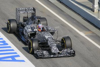 World © Octane Photographic Ltd. Infiniti Red Bull Racing RB11 – Daniel Ricciardo. Friday 20th February 2015, F1 Winter testing, Circuit de Barcelona Catalunya, Spain, Day 2. Digital Ref :1188CB1L6567