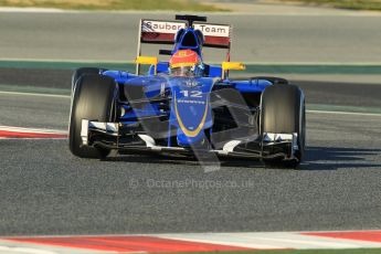 World © Octane Photographic Ltd. Sauber F1 Team C34-Ferrari – Felipe Nasr. Sunday 22nd February 2015, F1 Winter testing, Circuit de Barcelona Catalunya, Spain, Day 4. Digital Ref : 1191CB1L8798