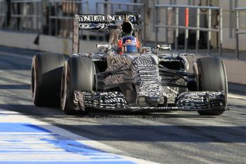 World © Octane Photographic Ltd. Infiniti Red Bull Racing RB11 – Daniil Kvyat. Sunday 22nd February 2015, F1 Winter test #2, Circuit de Barcelona Catalunya, Spain, Day 4. Digital Ref : 1191CB1L9087